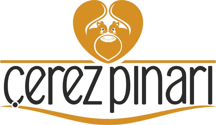 Çerez Pınarı